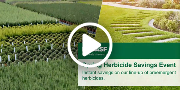 Webinar: Control spring weeds with BASF preemergent herbicides